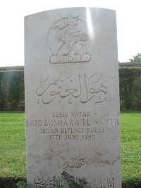 Heliopolis War Cemetery - Said Bushara El Nayer, 